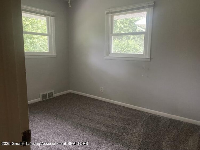 2520 Dorvin Dr, Jackson, MI 49201 - photo 16