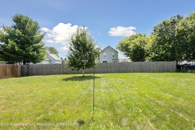 3939 Calypso Ln, Holt, MI 48842 - photo 31