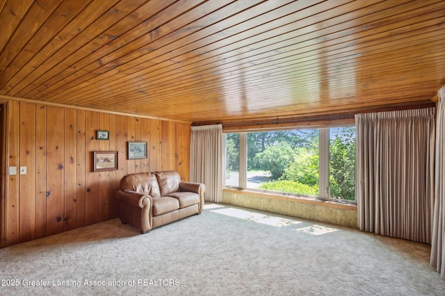 388 W Grand Ledge Hwy, Grand Ledge, MI 48837 - photo 20