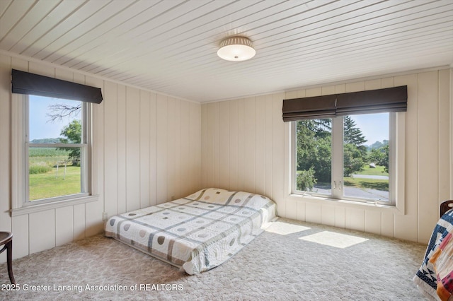 388 W Grand Ledge Hwy, Grand Ledge, MI 48837 - photo 23