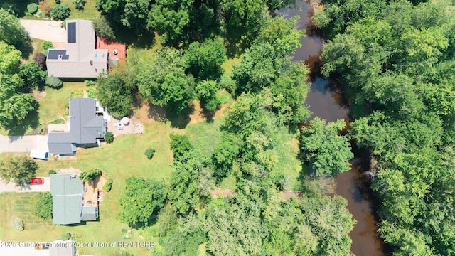1232 Sandhill Dr, Dewitt, MI 48820 - photo 28
