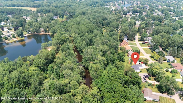 1232 Sandhill Dr, Dewitt, MI 48820 - photo 27