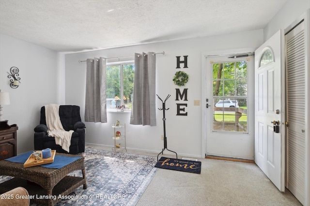 13179 Heather Ln, Perry, MI 48872 - photo 6
