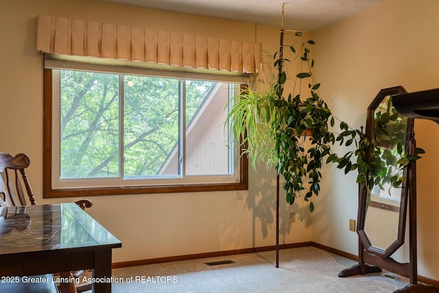 1744 Willow Creek Dr Unit 60, Lansing, MI 48917 - photo 27