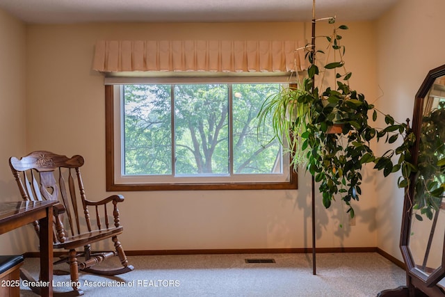 1744 Willow Creek Dr Unit 60, Lansing, MI 48917 - photo 28