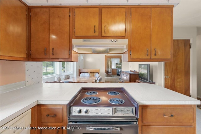 11161 Stoney Brook Dr Unit 44, Grand Ledge, MI 48837 - photo 15