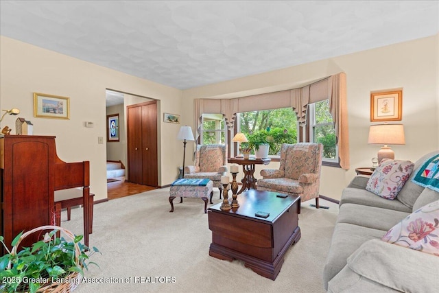 3941 Jonquil Ln, Okemos, MI 48864 - photo 7