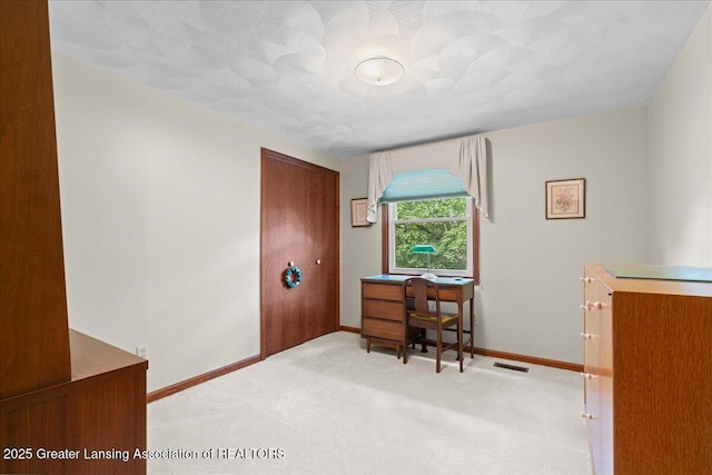 3941 Jonquil Ln, Okemos, MI 48864 - photo 25