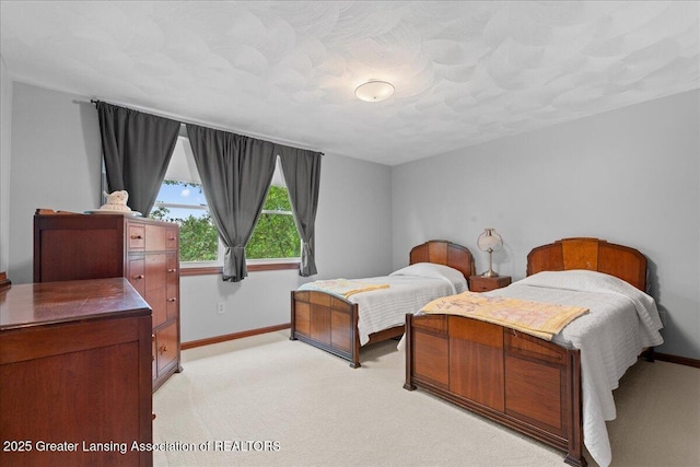 3941 Jonquil Ln, Okemos, MI 48864 - photo 28