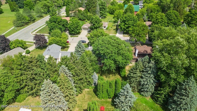 3941 Jonquil Ln, Okemos, MI 48864 - photo 42
