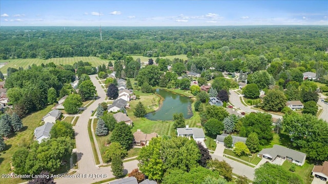 3941 Jonquil Ln, Okemos, MI 48864 - photo 43