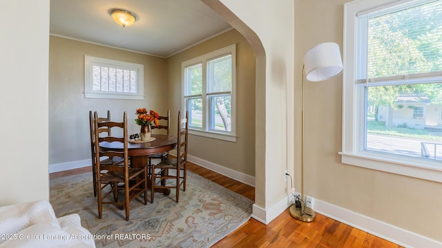 1510 E Oakland Ave, Lansing, MI 48906 - photo 9