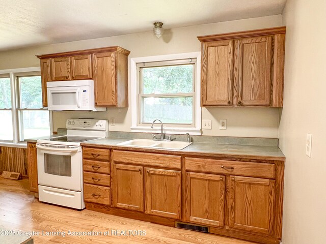 528 Maine Ct, Mason, MI 48854 - photo 8