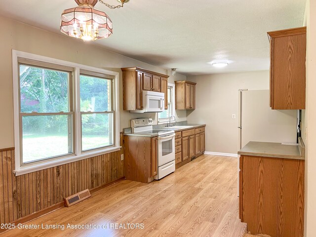 528 Maine Ct, Mason, MI 48854 - photo 6
