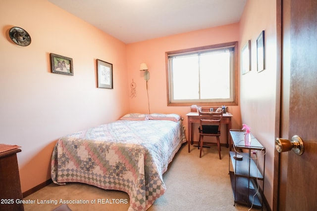 916 Westover Cir, Lansing, MI 48917 - photo 29