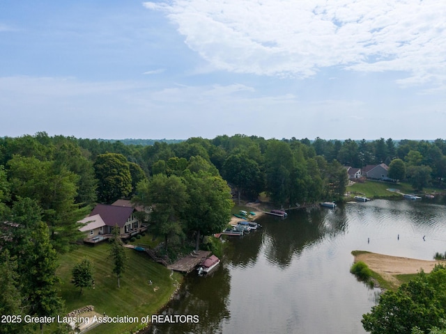 5235 King Henry Cir, Gladwin, MI 48624 - photo 8