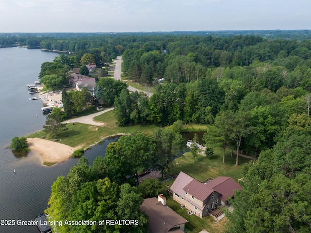 5235 King Henry Cir, Gladwin, MI 48624 - photo 68