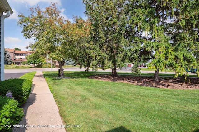 1101 Sunview Dr, Saint Johns, MI 48879 - photo 3