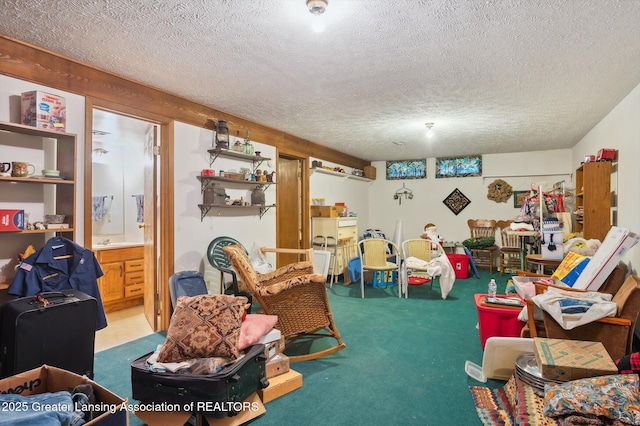1101 Sunview Dr, Saint Johns, MI 48879 - photo 20