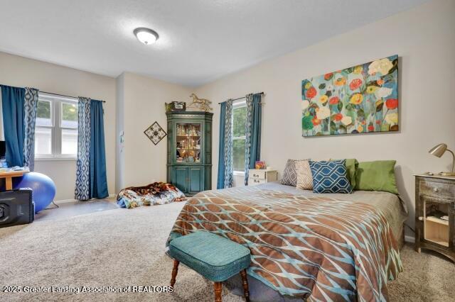 717 High St, Charlotte, MI 48813 - photo 28