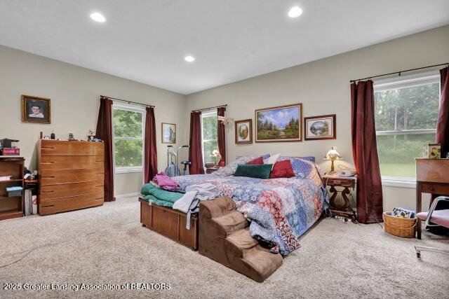 717 High St, Charlotte, MI 48813 - photo 31