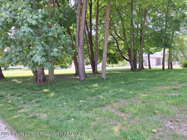 717 High St, Charlotte, MI 48813 - photo 47