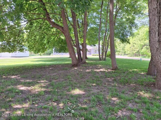 717 High St, Charlotte, MI 48813 - photo 48