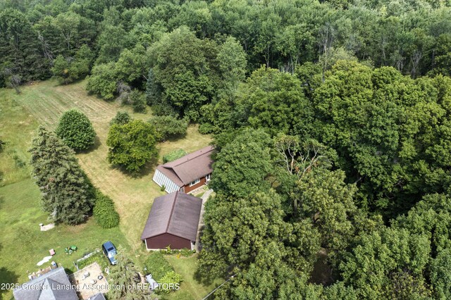 16106 Peacock Rd, Haslett, MI 48840 - photo 29