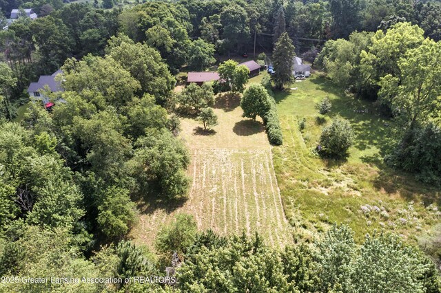 16106 Peacock Rd, Haslett, MI 48840 - photo 31