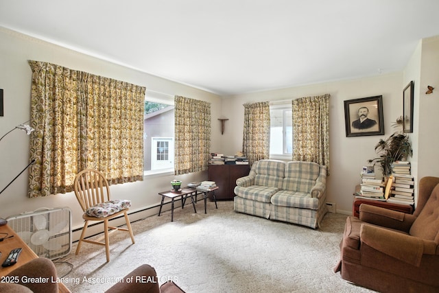 16106 Peacock Rd, Haslett, MI 48840 - photo 8