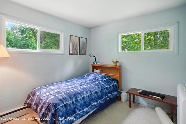 16106 Peacock Rd, Haslett, MI 48840 - photo 15