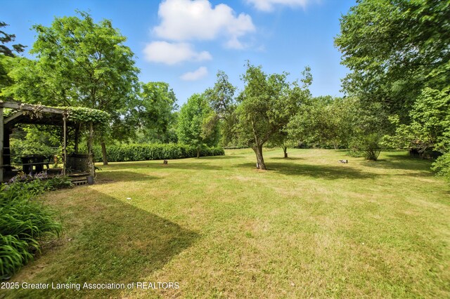 16106 Peacock Rd, Haslett, MI 48840 - photo 23