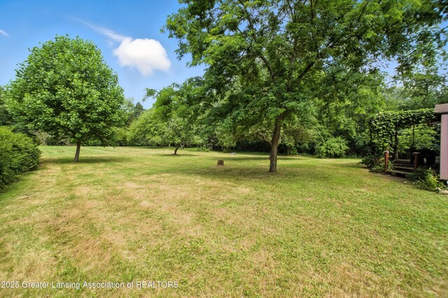 16106 Peacock Rd, Haslett, MI 48840 - photo 24