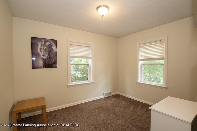 846 Morris Ave, Lansing, MI 48917 - photo 9