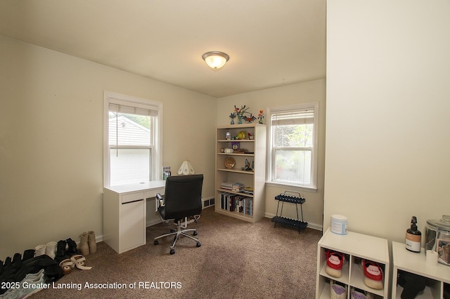 846 Morris Ave, Lansing, MI 48917 - photo 12