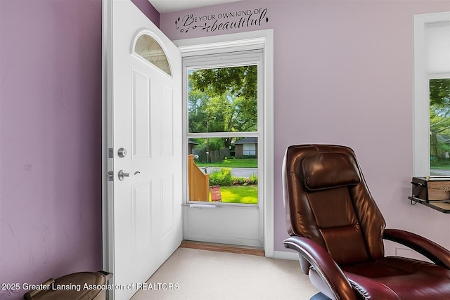 5928 Rolfe Rd, Lansing, MI 48911 - photo 5