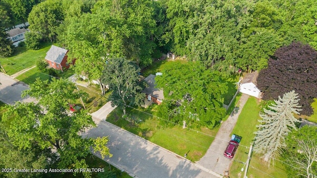 5928 Rolfe Rd, Lansing, MI 48911 - photo 27