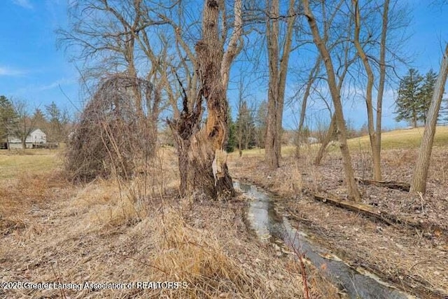 9 Laura Ln, Dewitt, MI 48820 - photo 33