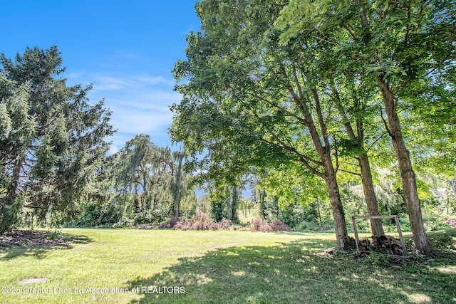 9 Laura Ln, Dewitt, MI 48820 - photo 8