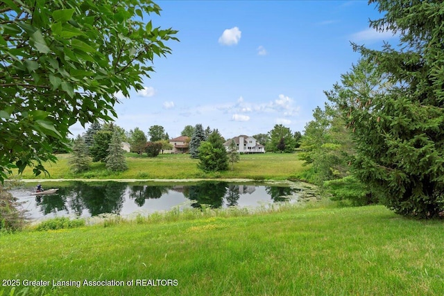 3391 Hidden Ridge Dr, Dewitt, MI 48820 - photo 46