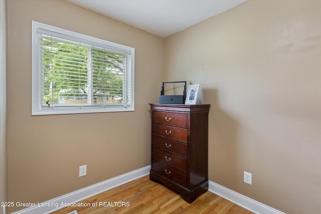 4377 Rexford Ave, Holt, MI 48842 - photo 20