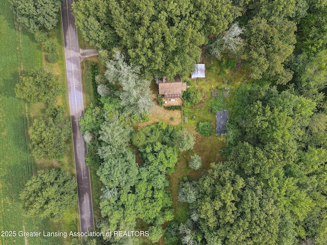 11975 Churchill Rd, Rives Junction, MI 49277 - photo 42