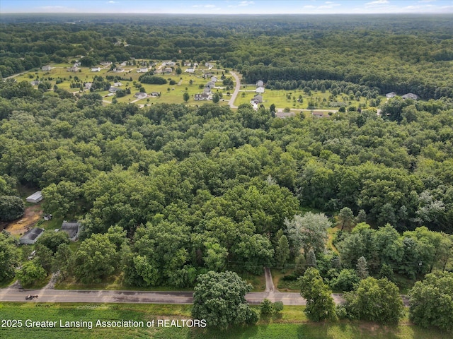 11975 Churchill Rd, Rives Junction, MI 49277 - photo 44