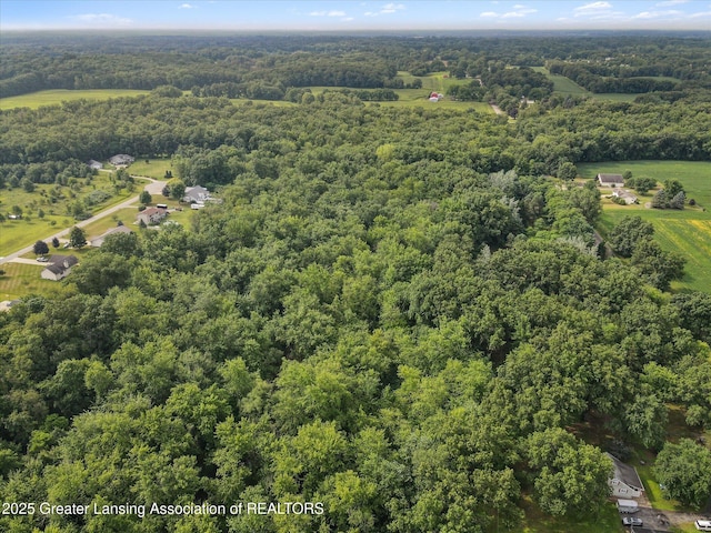 11975 Churchill Rd, Rives Junction, MI 49277 - photo 46