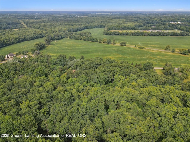 11975 Churchill Rd, Rives Junction, MI 49277 - photo 48