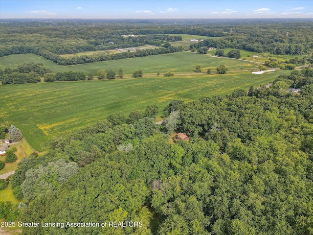 11975 Churchill Rd, Rives Junction, MI 49277 - photo 51