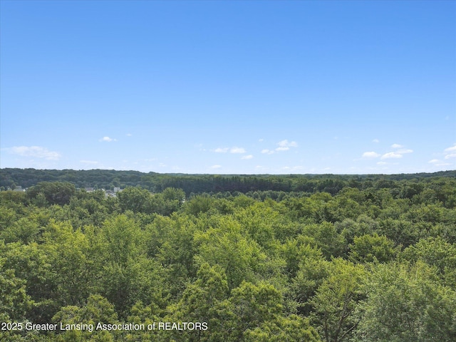 11975 Churchill Rd, Rives Junction, MI 49277 - photo 54