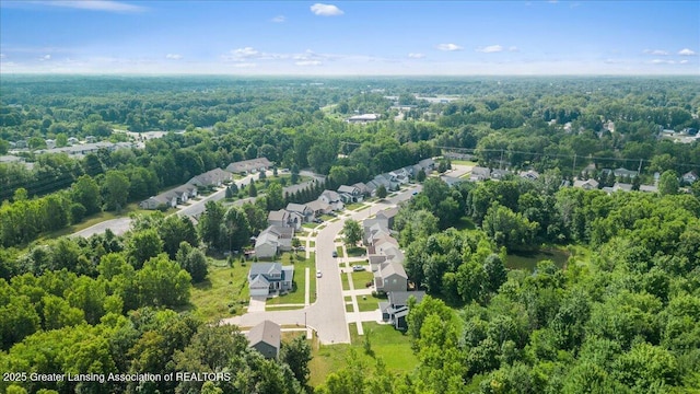2520 Winterberry St, Holt, MI 48842 - photo 36