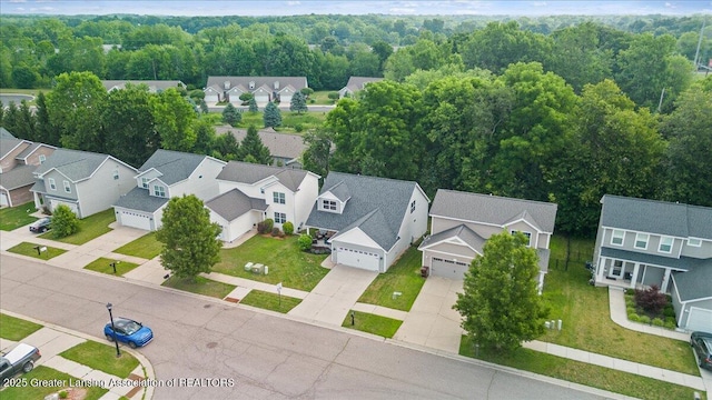 2520 Winterberry St, Holt, MI 48842 - photo 40