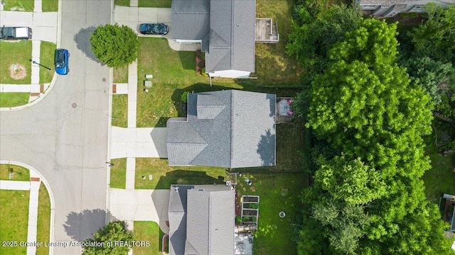 2520 Winterberry St, Holt, MI 48842 - photo 38